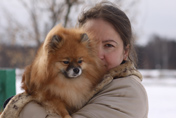 Померанский шпиц питомника Malpom Эни 